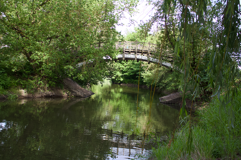 Natur Deteil 1
