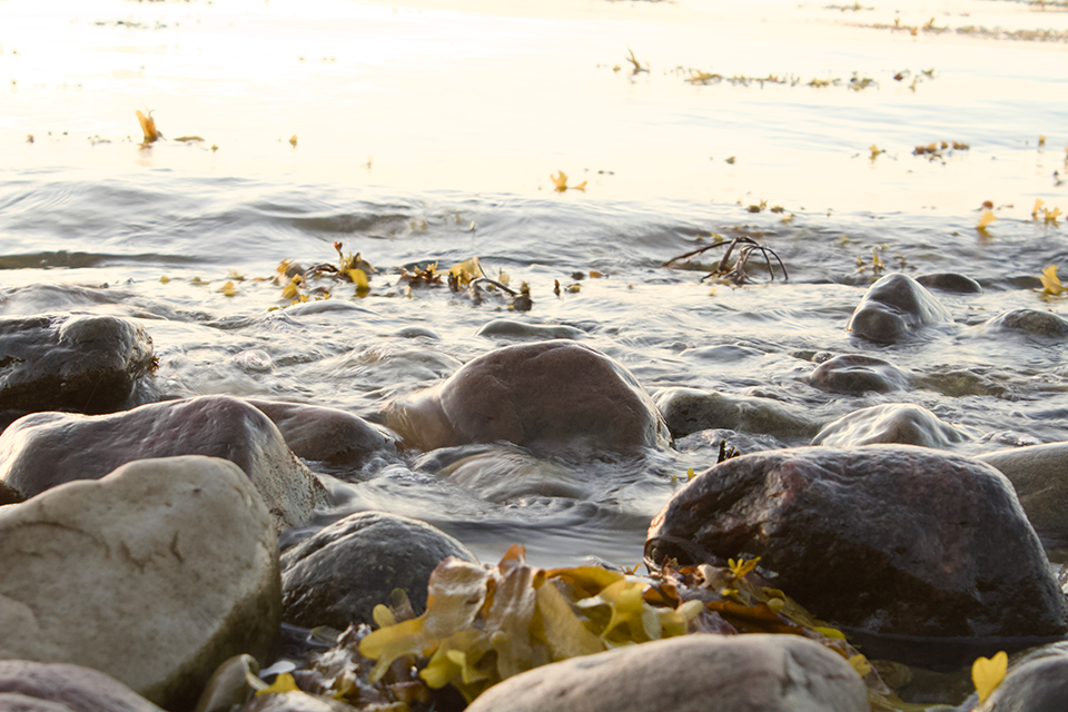 Natur Detail 6