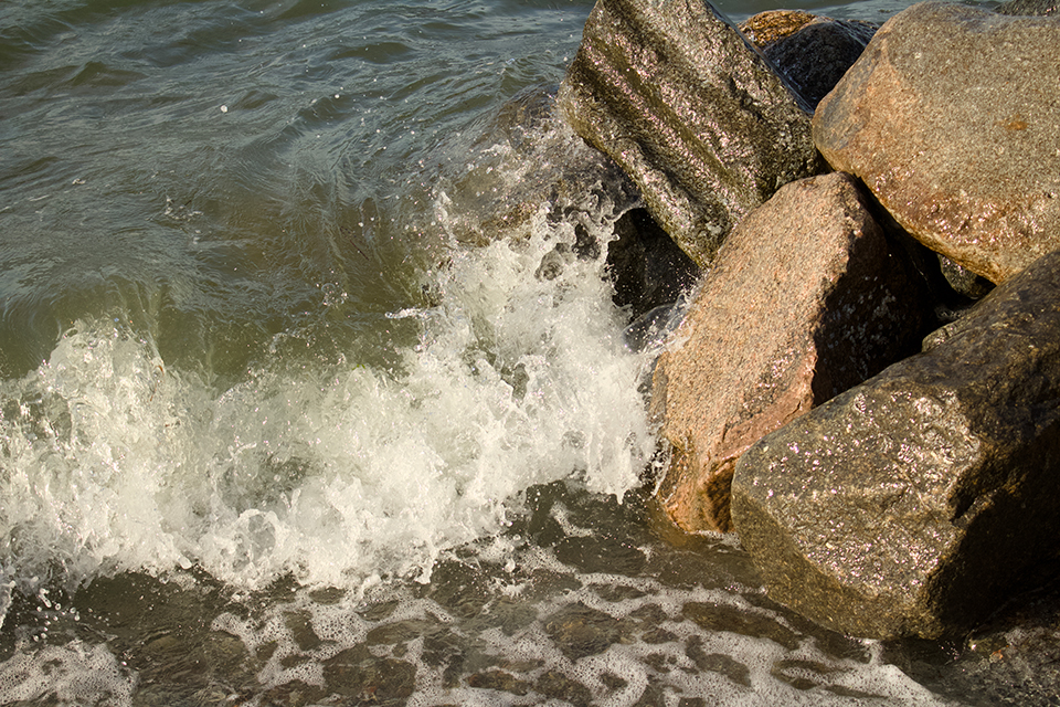 Natur Detail 9